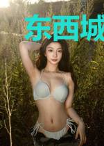 东西城的韩花