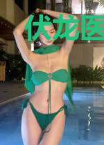 伏龙医圣叶云烟