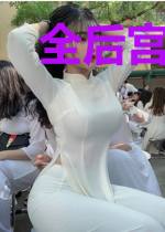 全后宫皆以为贵妃无宠