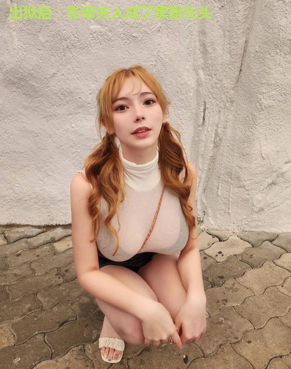 出狱后：影帝夫人成了黑粉头头