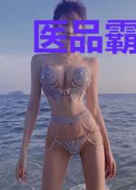 医品霸婿叶苍辰