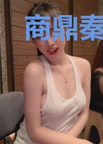 商鼎秦兵苏燕