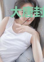 大唐封诊录.2