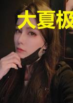 大夏极品皇子