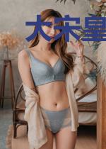 大宋皇帝系统
