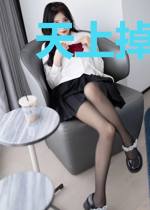 天上掉下个女剑仙