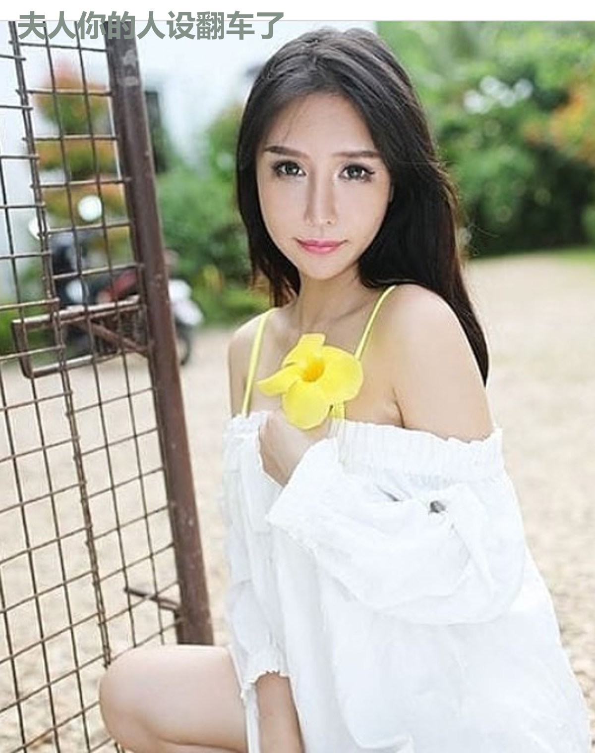 夫人你的人设翻车了