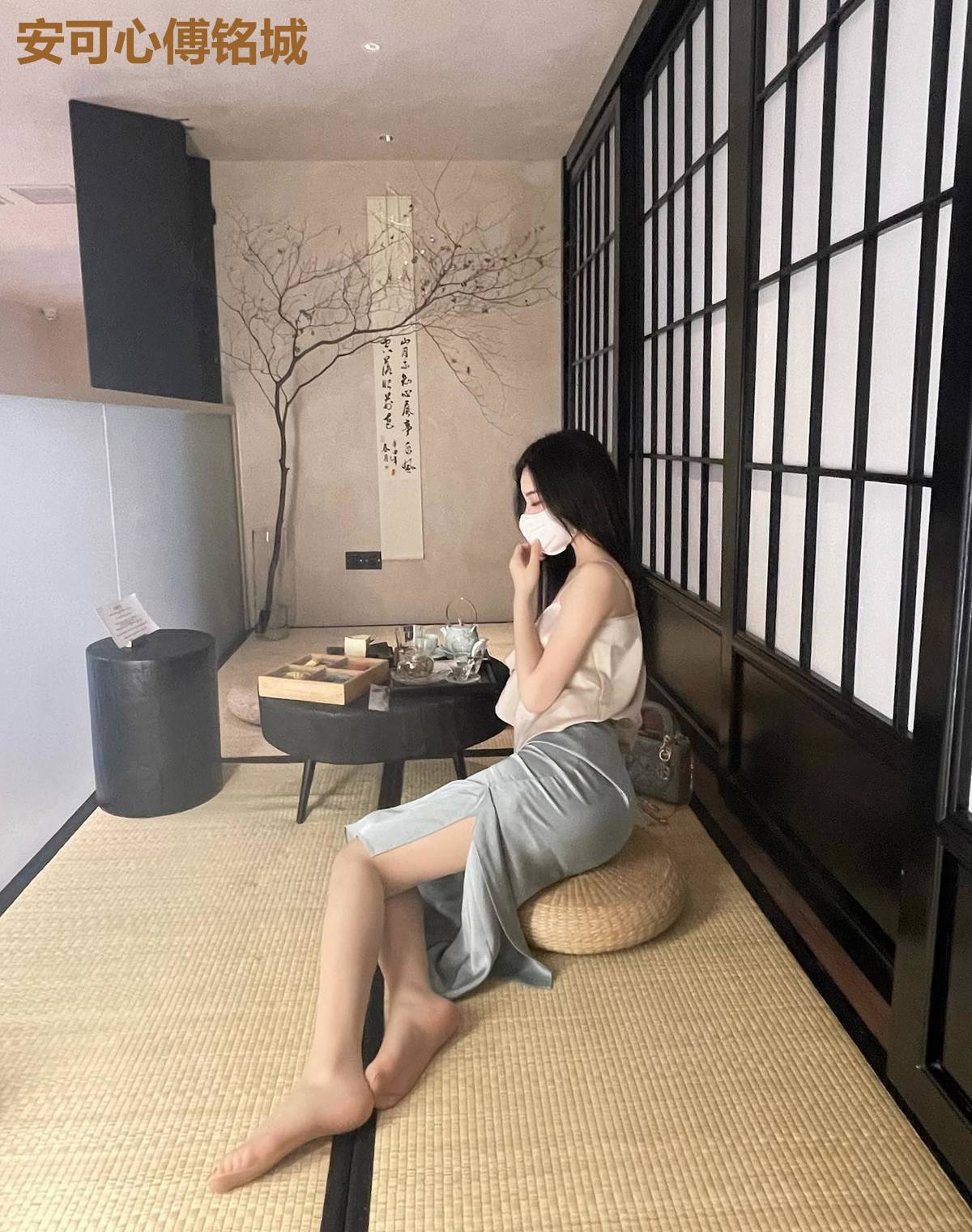 安可心傅铭城