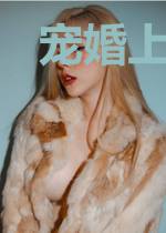 宠婚上瘾[娱乐圈]