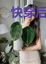 快穿后她成了宿主界业绩一姐