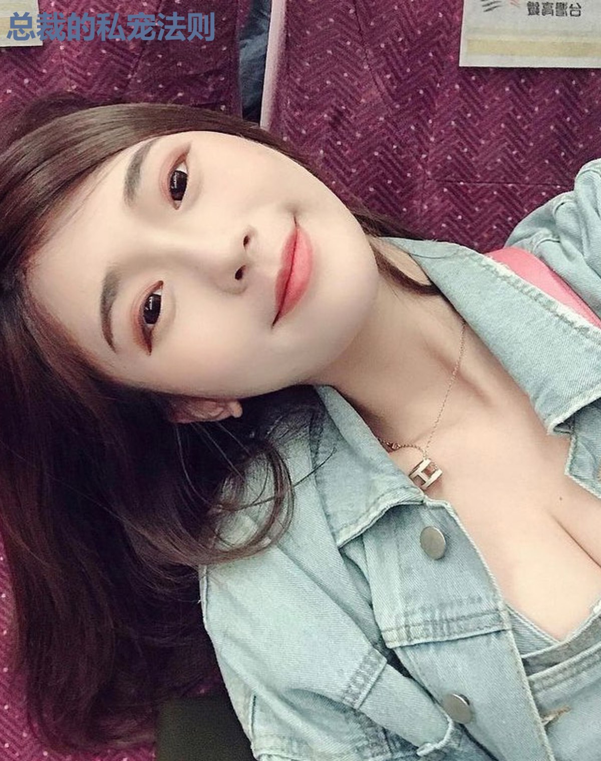 总裁的私宠法则