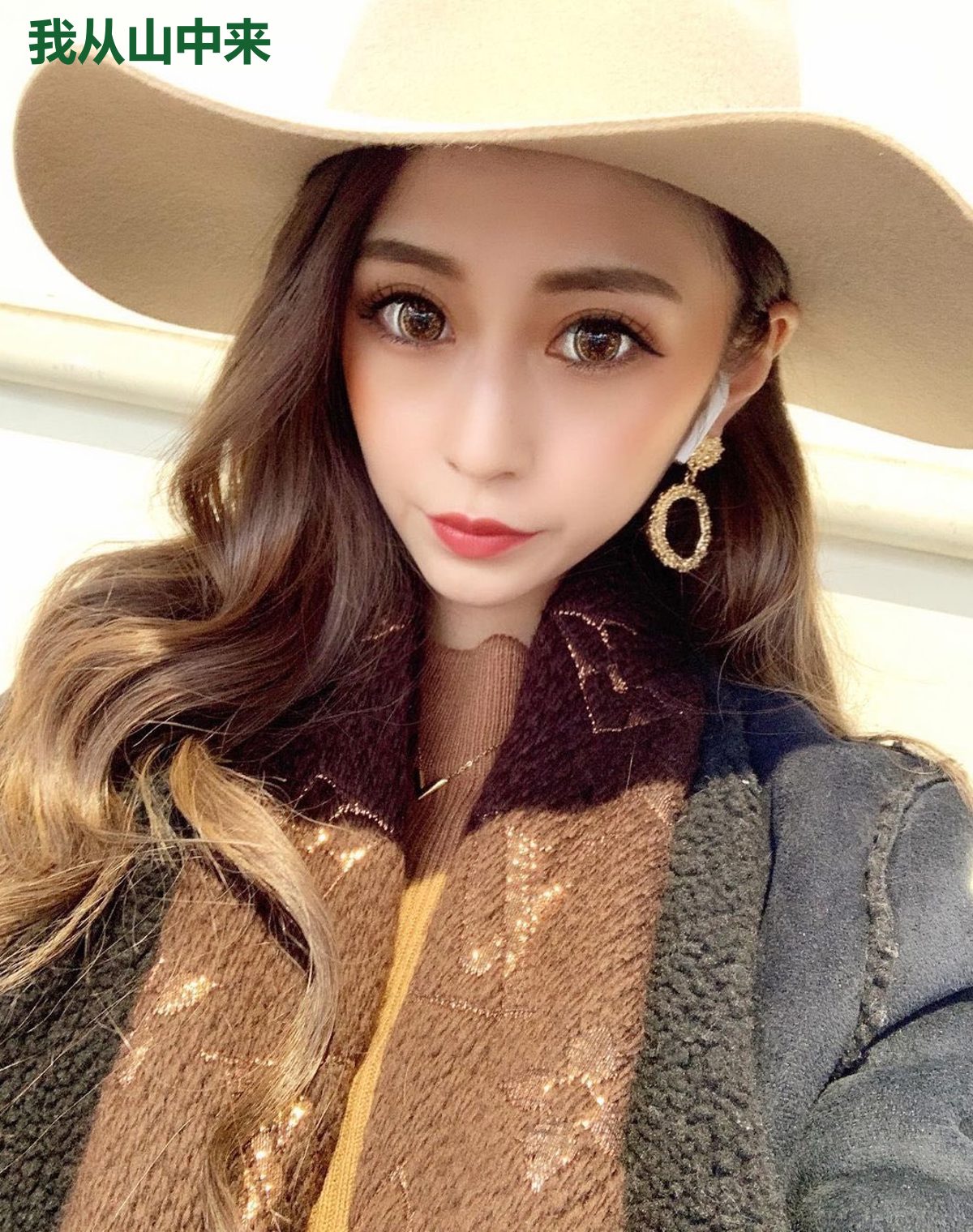 我从山中来