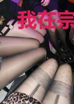 我在宗门养了一群妖孽