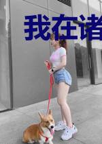 我在诸天万界修剑道