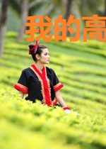 我的高冷姐妹花