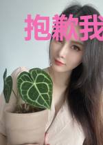 抱歉我是会长