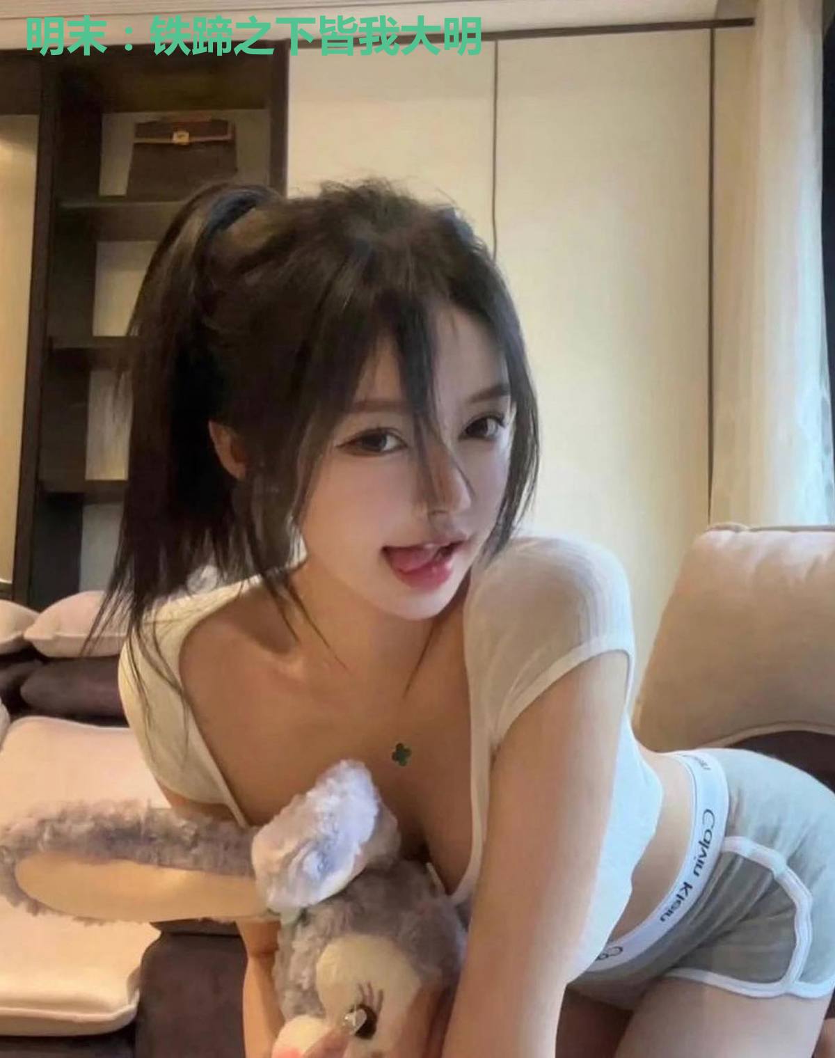 明末:铁蹄之下皆我大明