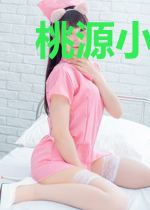 桃源小圣手