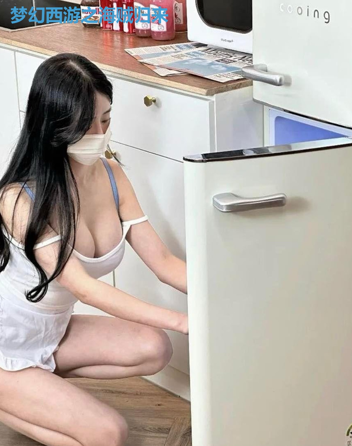 梦幻西游之海贼归来