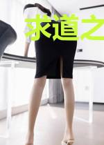 求道之逆天之路重置版