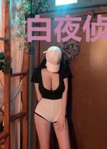 白夜侦查录