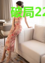 破局2222之电商风云录