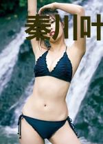 秦川叶紫薇