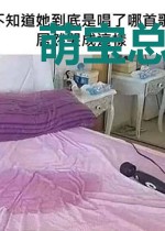 萌宝总裁齐上阵洛南绯