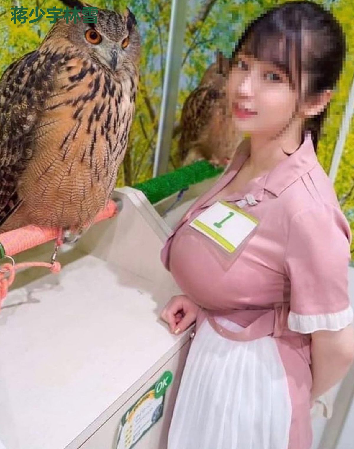蒋少宇林雪