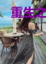 重生之锻器大宗师