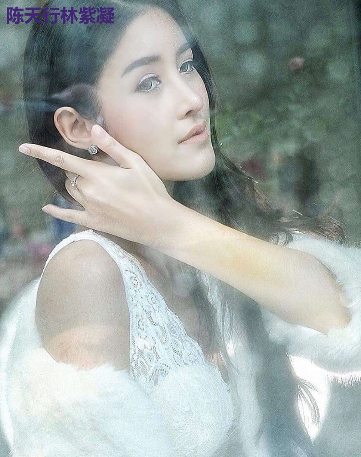 陈天行林紫凝